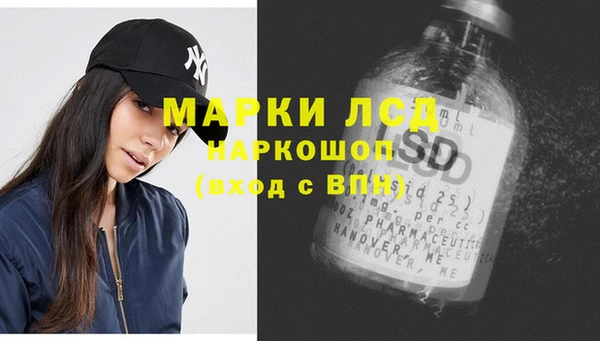 ГАЛЛЮЦИНОГЕННЫЕ ГРИБЫ Няндома