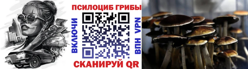 наркотики  Яровое  Галлюциногенные грибы Psilocybe 