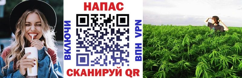 Шишки марихуана Amnesia Яровое